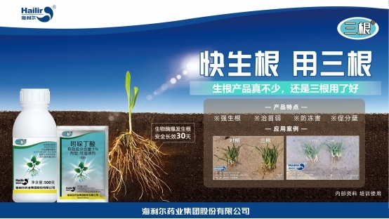 告别粗暴 转向协调——海利尔重新定义生根技术