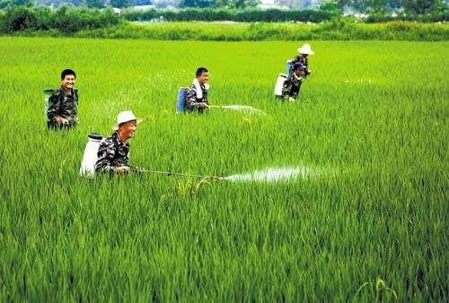 农资市场鱼龙混杂，抗性真的有宣传的那么严重吗？