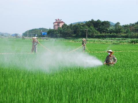 农药原药市场需求疲软，部分品种价格松动