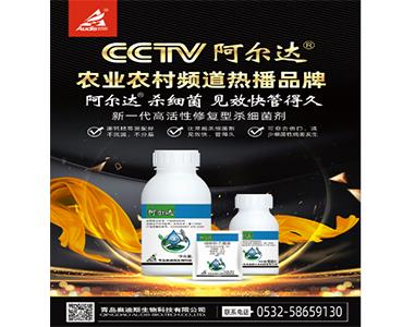 海利尔集团奥迪斯阿尔达?登录央视CCTV